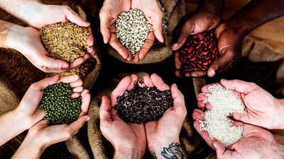 World Pulses Day 2023: Health Benefits Of Consuming Pulses